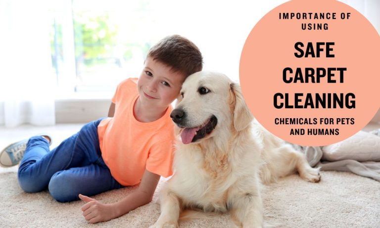 Importance of using safe carpet cleaning chemicals for pets and humans