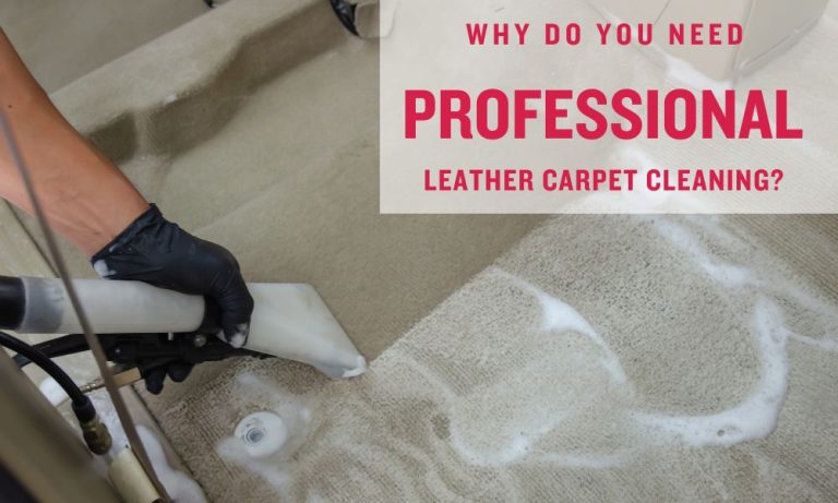 Why Do You Need Professional Leather Carpet Cleaning